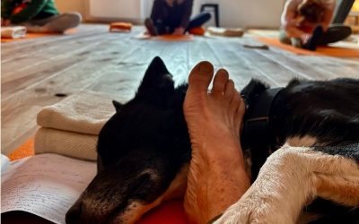 Yin Yoga klas